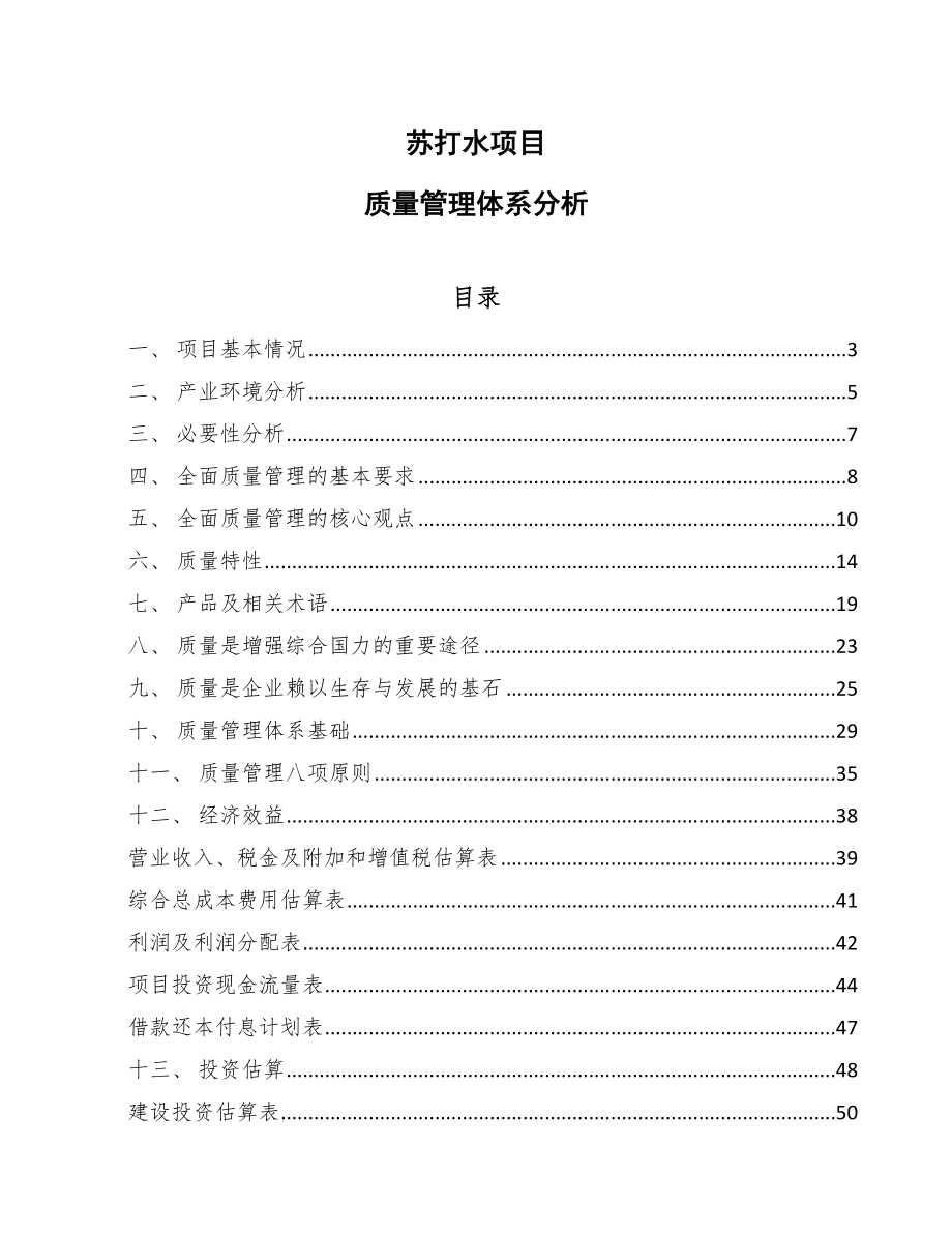 苏打水项目质量管理体系分析_范文_第1页