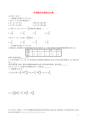 山東省新泰市龍廷鎮(zhèn)中心學(xué)校2015-2016學(xué)年六年級數(shù)學(xué)上冊 第二章 有理數(shù)及其運(yùn)算課時(shí)提升作業(yè)10 魯教版五四制