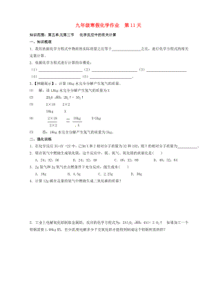 山東省濟南市長清區(qū)雙泉中學九年級化學上學期寒假作業(yè)第11天無答案魯教版