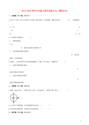 2019-2020學(xué)年六年級(jí)數(shù)學(xué)上冊(cè) 專項(xiàng)復(fù)習(xí)五 圓的認(rèn)識(shí)試題（含解析） 新人教版