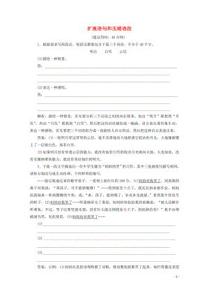 浙江省2020屆高考語文大二輪復(fù)習 第1板塊 語言文字運用 2 題型2 擴展語句和壓縮語段練習（含解析）