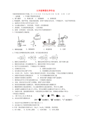 山東省濟南市長清區(qū)雙泉中學九年級化學上學期寒假作業(yè)第20天無答案魯教版