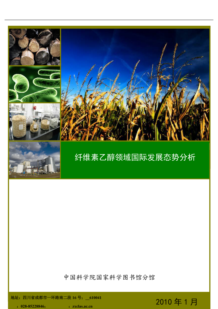 纤维素乙醇领域国际发展态势分析报告_第1页