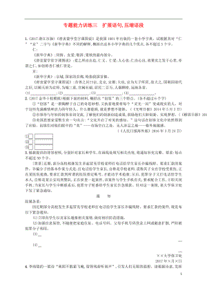 （浙江選考）2018年高考語文二輪復(fù)習(xí) 專題能力訓(xùn)練三 擴(kuò)展語句,壓縮語段