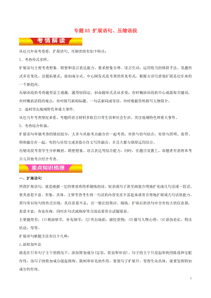 2018年高考語(yǔ)文二輪復(fù)習(xí) 專題03 擴(kuò)展語(yǔ)句、壓縮語(yǔ)段教學(xué)案（含解析）