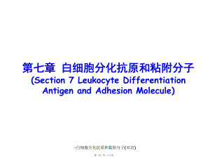 白细胞分化抗原和黏附分子双语课件