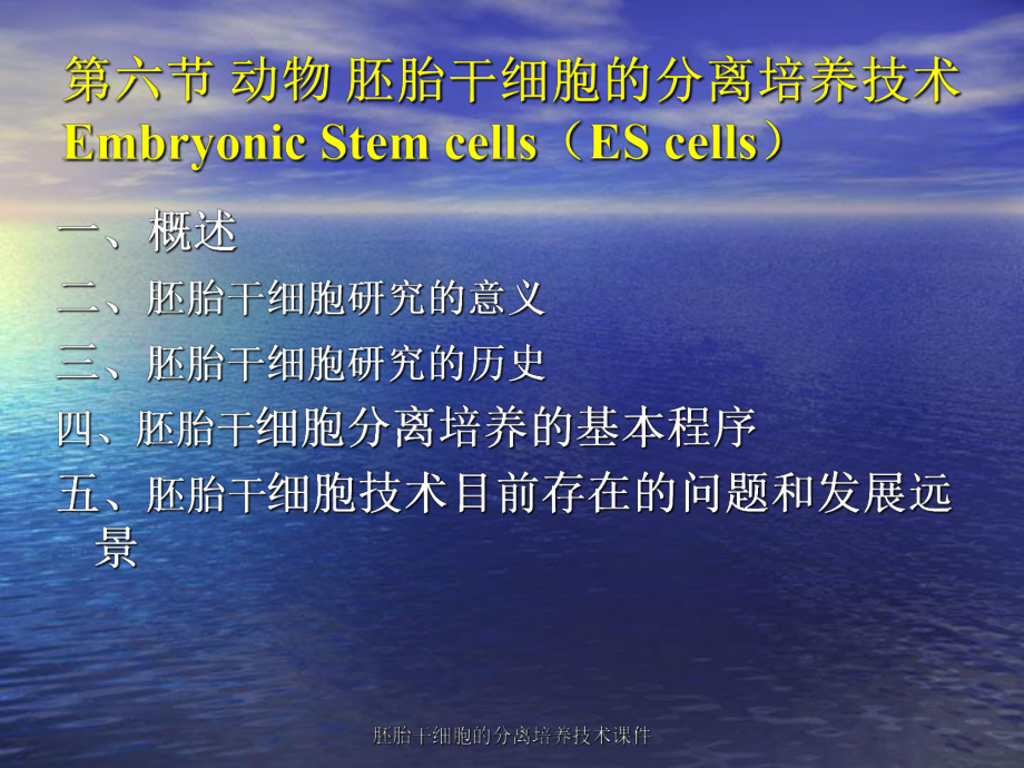 胚胎干细胞的分离培养技术课件_第1页