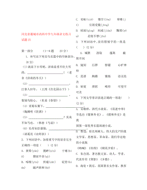 河北省藁城市尚西中学九年级语文练习试题25无答案