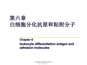 白细胞分化抗原和粘附分子课件