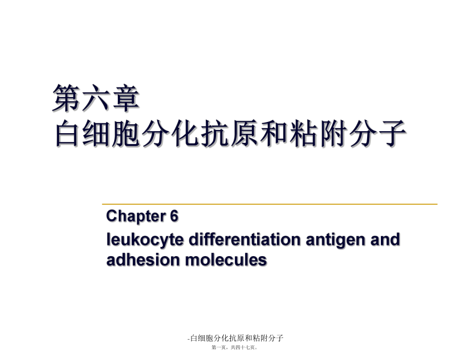 白细胞分化抗原和粘附分子课件_第1页