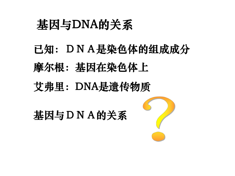 基因与DNA的关系_第1页