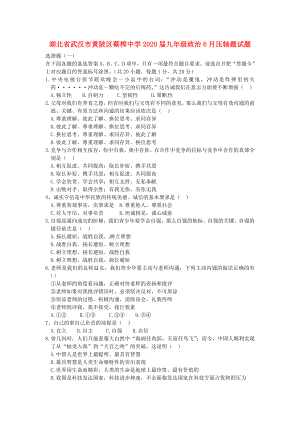 湖北省武漢市黃陂區(qū)蔡榨中學(xué)九年級政治6月壓軸題試題無答案