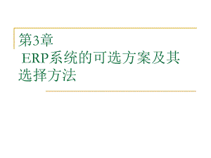 SAPERP第3章ERP系统的可选方案及其选择方法