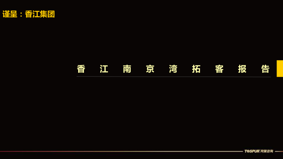 安徽汊河别墅项目导客方案课件_第1页