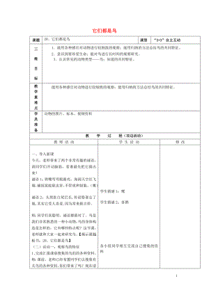 三年級(jí)科學(xué)下冊(cè)《它們都是鳥》教案5 青島版