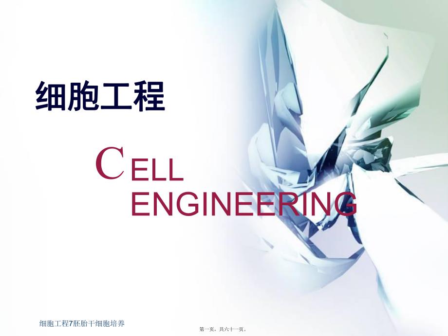 细胞工程7胚胎干细胞培养课件_第1页