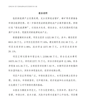 昌宁县新能源电池项目招商引资方案（参考范文）