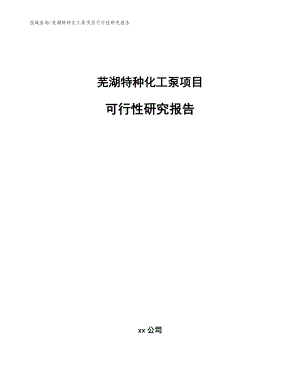 芜湖特种化工泵项目可行性研究报告