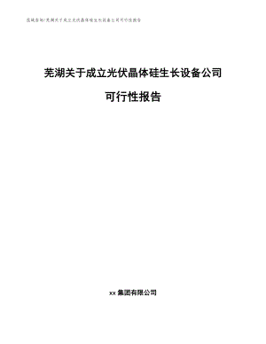 芜湖关于成立光伏晶体硅生长设备公司可行性报告（范文模板）