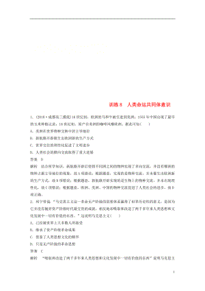 2019高考歷史總復習 增分優(yōu)選練：現(xiàn)實熱點練 訓練8 人類命運共同體意識