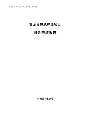 青龙县应急产业项目资金申请报告（范文）