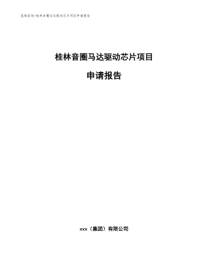 桂林音圈马达驱动芯片项目申请报告（范文参考）