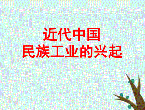 浙江省台州市高考历史总复习 专题 近代中国民族工业的兴起课件 人民版