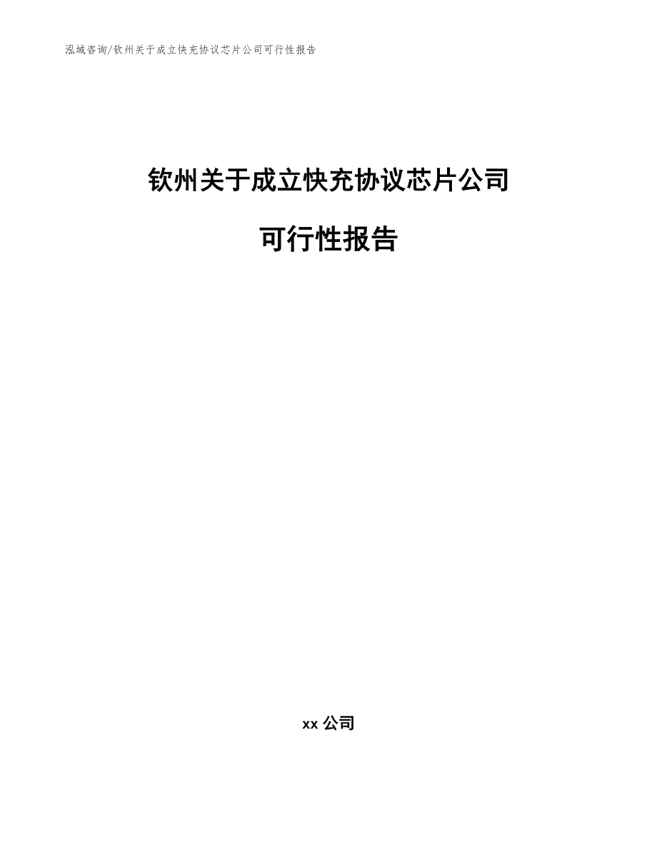 钦州关于成立快充协议芯片公司可行性报告（参考范文）_第1页