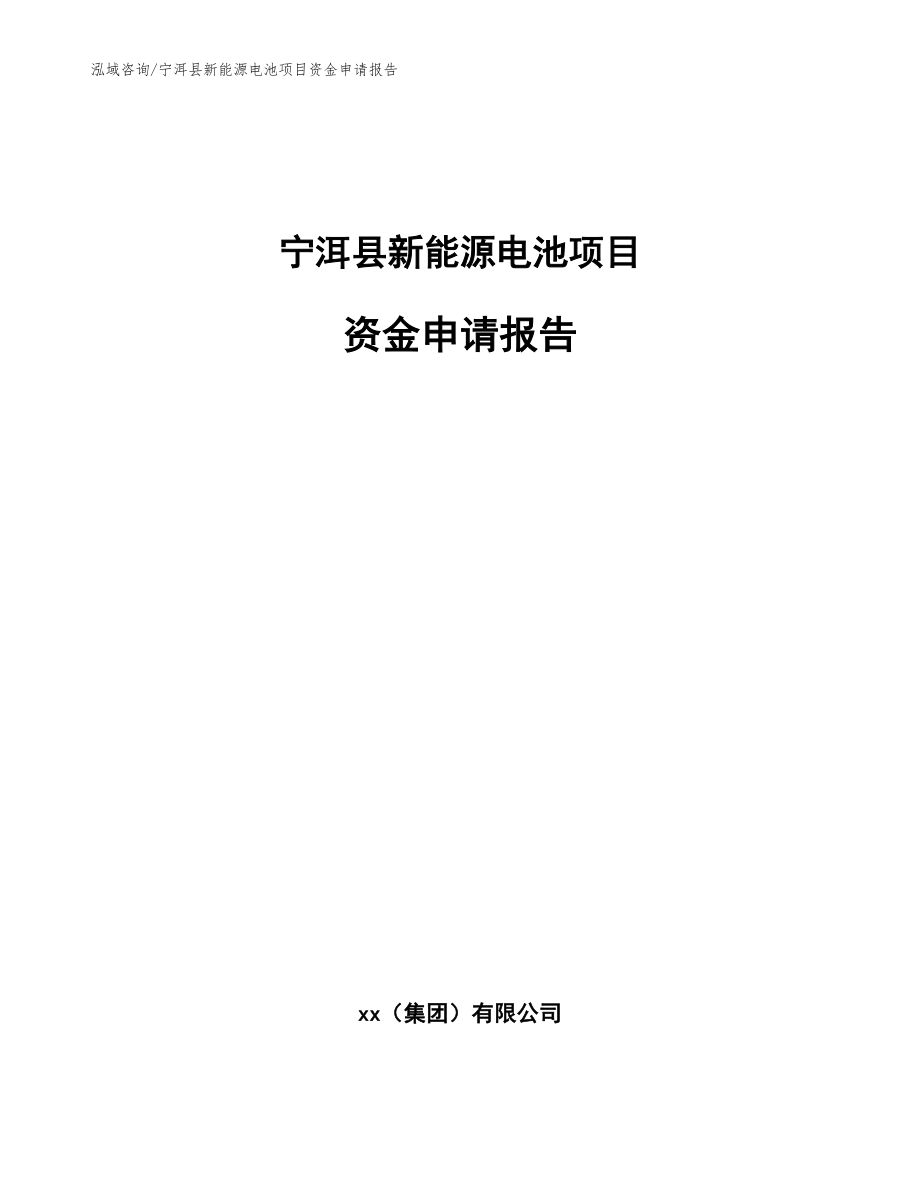 宁洱县新能源电池项目资金申请报告_模板参考_第1页
