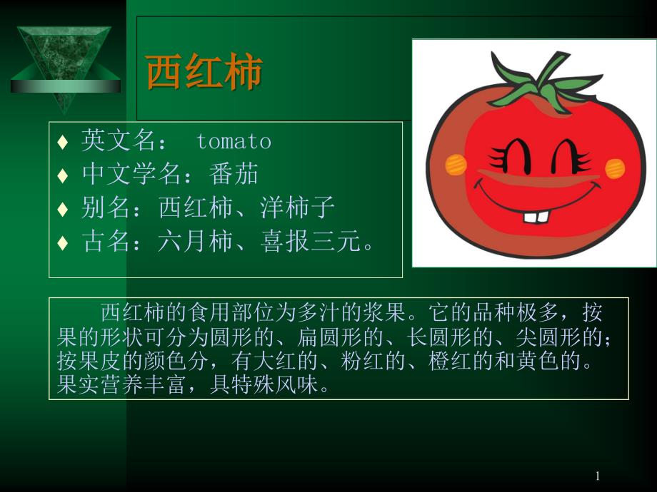 西红柿的介绍PPT课件_第1页