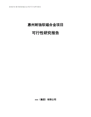 惠州耐蚀软磁合金项目可行性研究报告