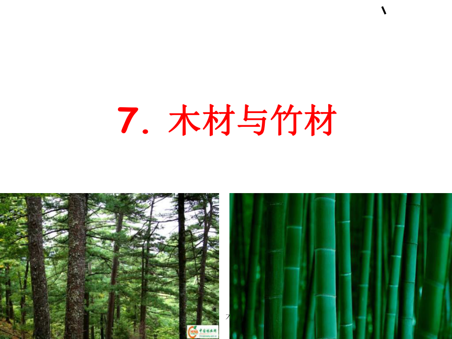 木材与竹材课件_第1页