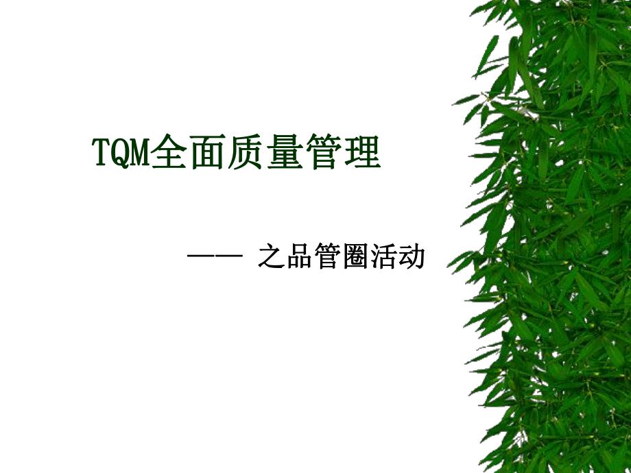 TQM全面质量管理QCC培训教材课件_第1页