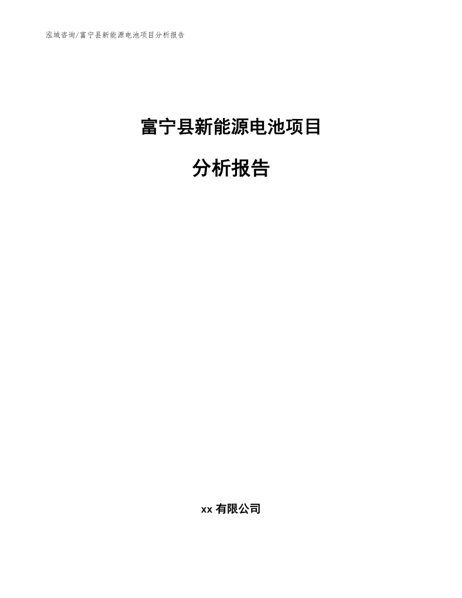 富宁县新能源电池项目分析报告_模板_第1页