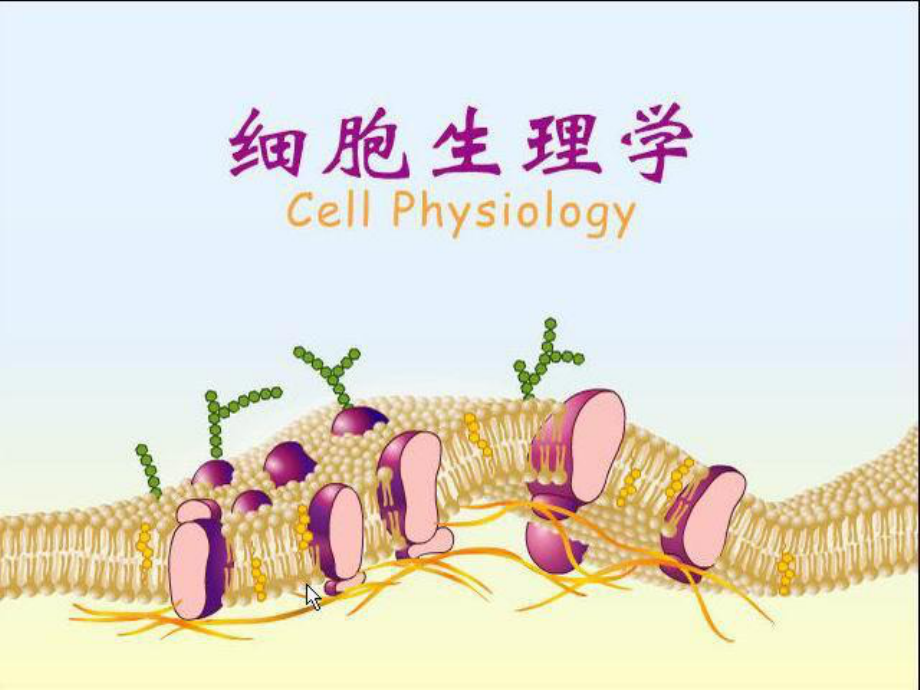 细胞生理学旧课件_第1页