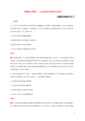 （廣西課標版）2020版高考歷史二輪復習 專題能力訓練6 工業(yè)革命時代的西方世界