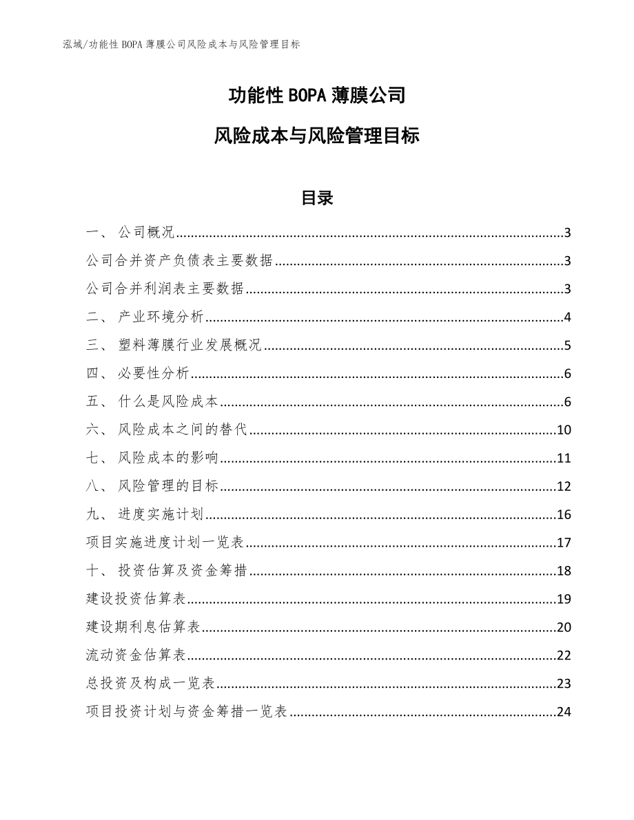 功能性BOPA薄膜公司风险成本与风险管理目标_第1页