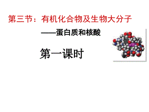 人浙江省温州市平阳三中高二生物有机化合物及生物大分子蛋白质和核酸第一课时课件