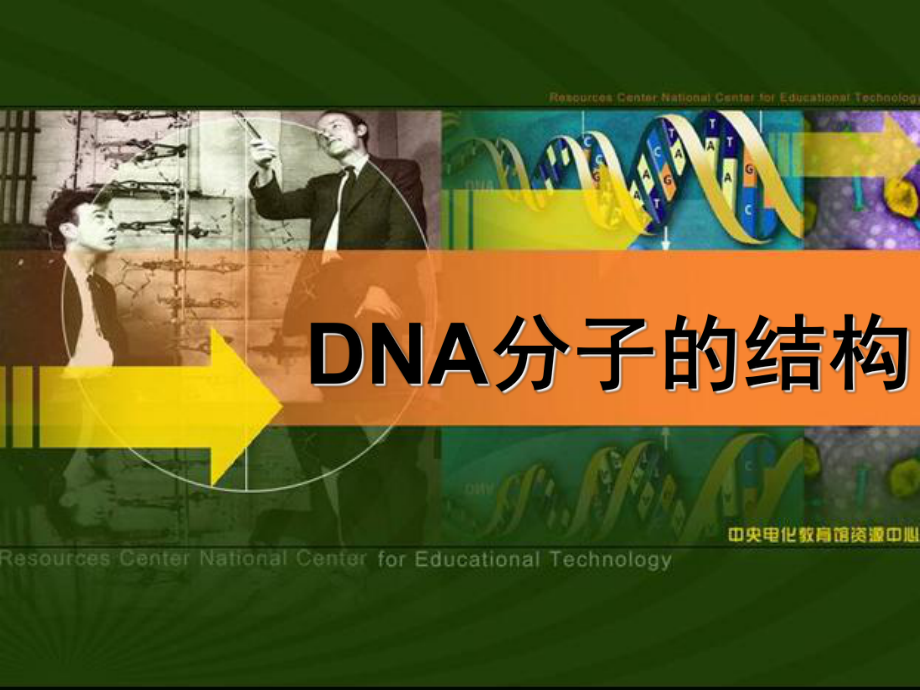 人教版教学课件232DNA分子的结构课件_第1页