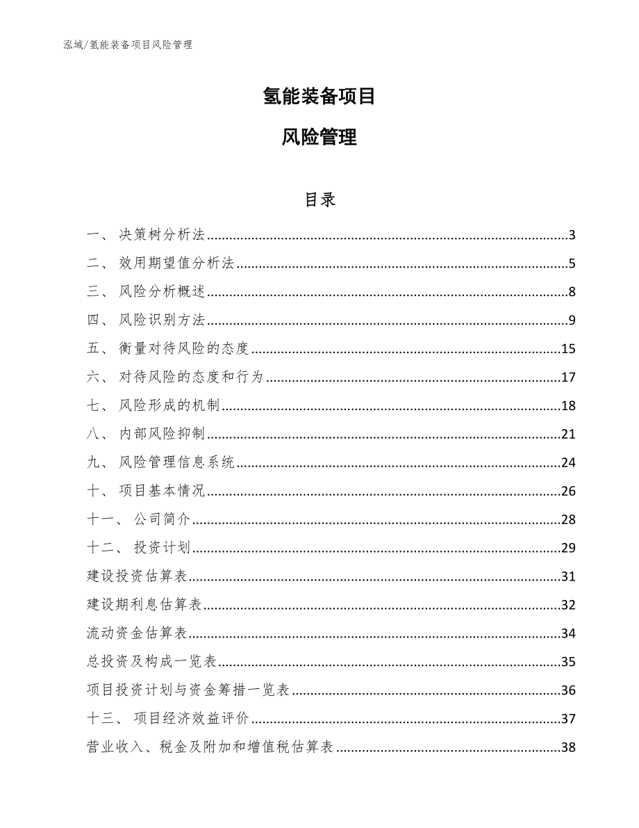 氢能装备项目风险管理分析_范文_第1页