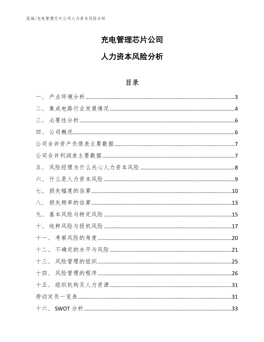 充电管理芯片公司人力资本风险分析_第1页