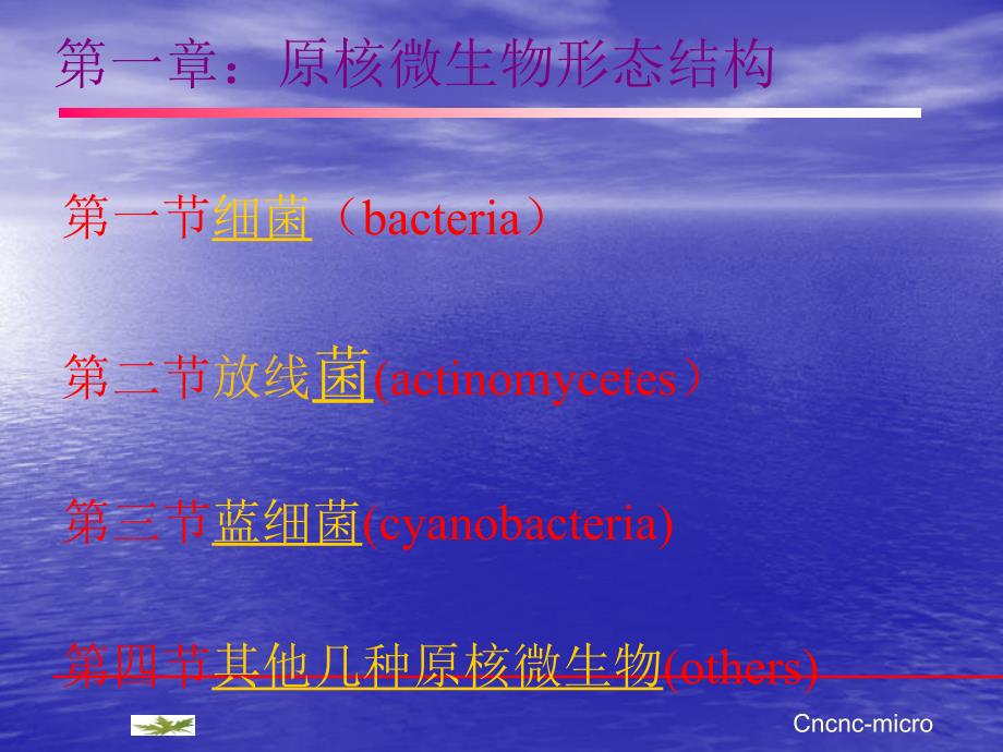 原核微生物的形态结构1课件_第1页