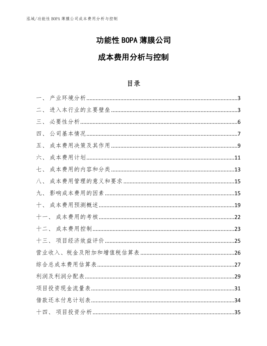 功能性BOPA薄膜公司成本费用分析与控制_范文_第1页