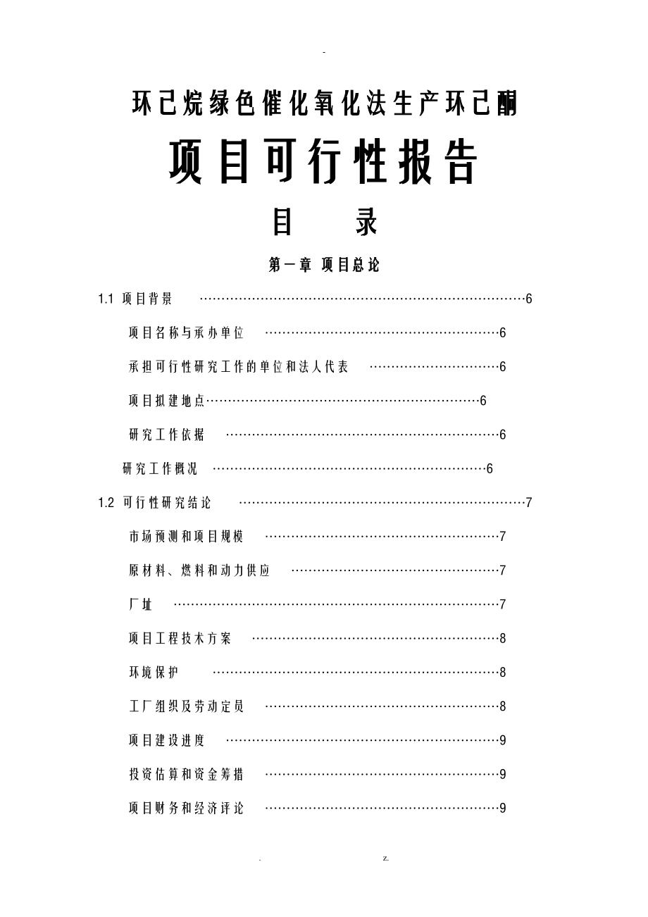 化氧化法生产环己酮项目可行性报告_第1页