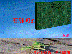 石缝间的生命江苏省泉州市外国语中学九级语文课件