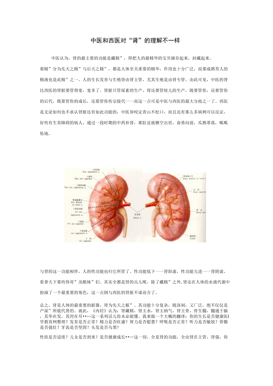 中医和西医对“肾”的理解不一样_第1页