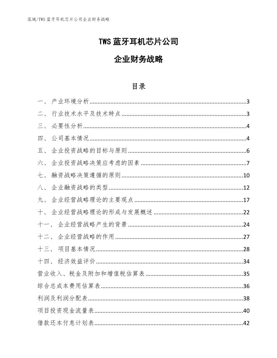 TWS蓝牙耳机芯片公司企业财务战略（范文）_第1页