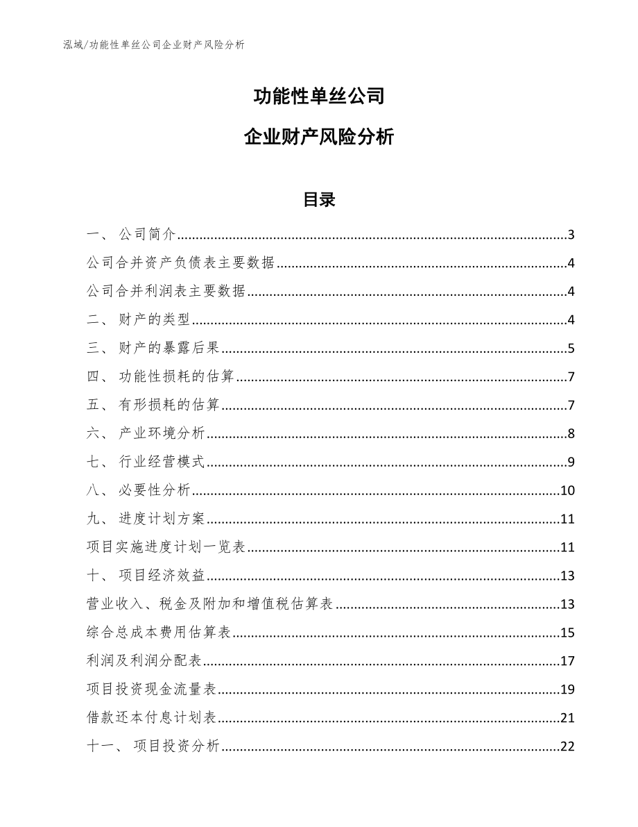 功能性单丝公司企业财产风险分析_第1页