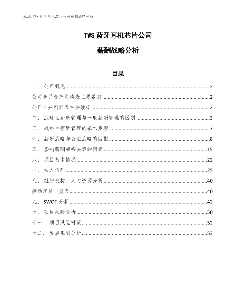 TWS蓝牙耳机芯片公司薪酬战略分析_第1页